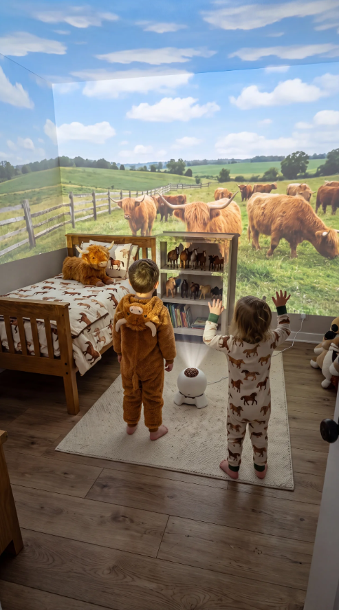 Promotional example of a Highland cow scene displayed across a farm-themed bedroom